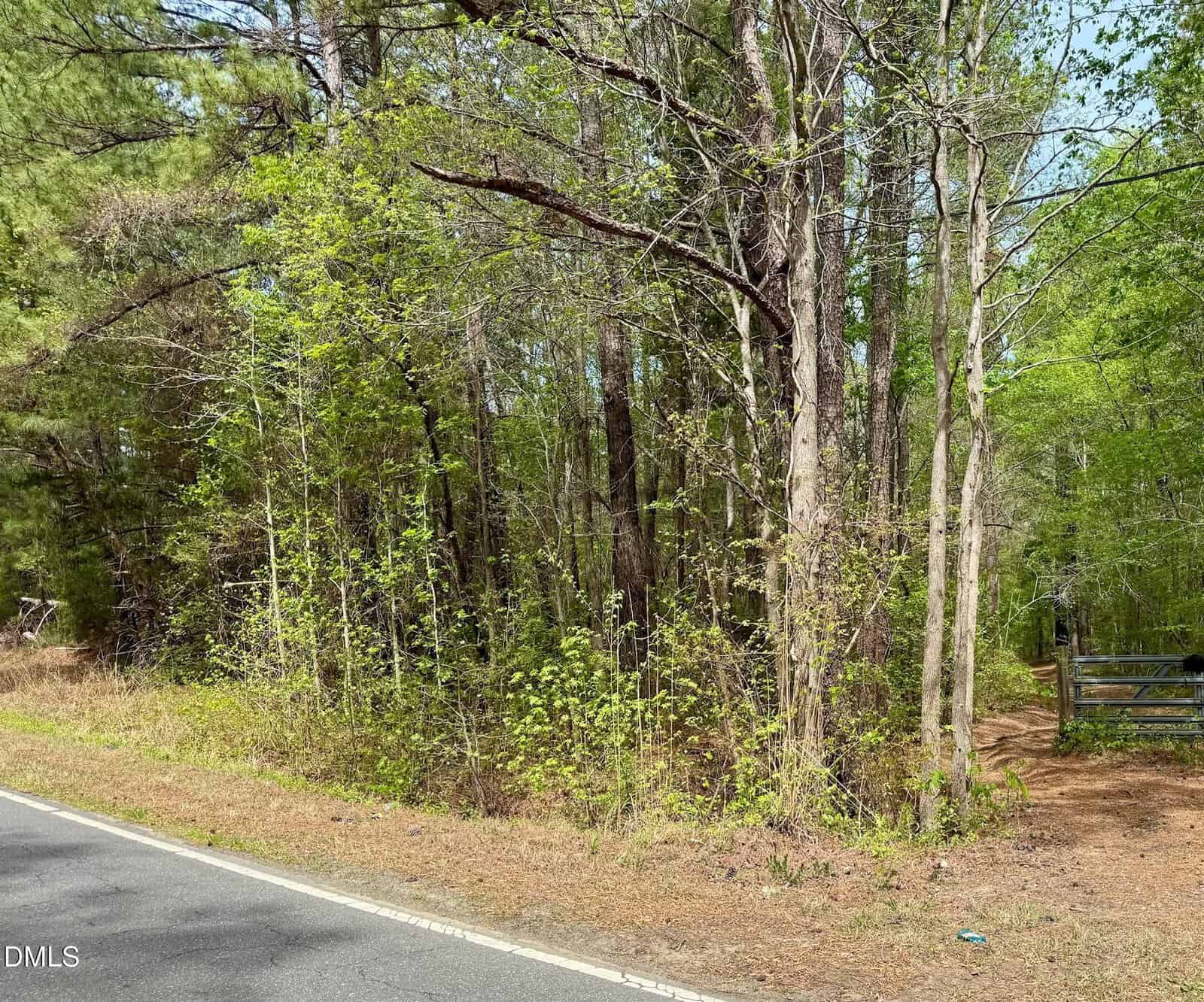 A paved road runs alongside a wooded area with tall trees and dense green foliage. There is a metal gate visible to the right, partially obscured by branches. Sunlight filters through the leaves.
