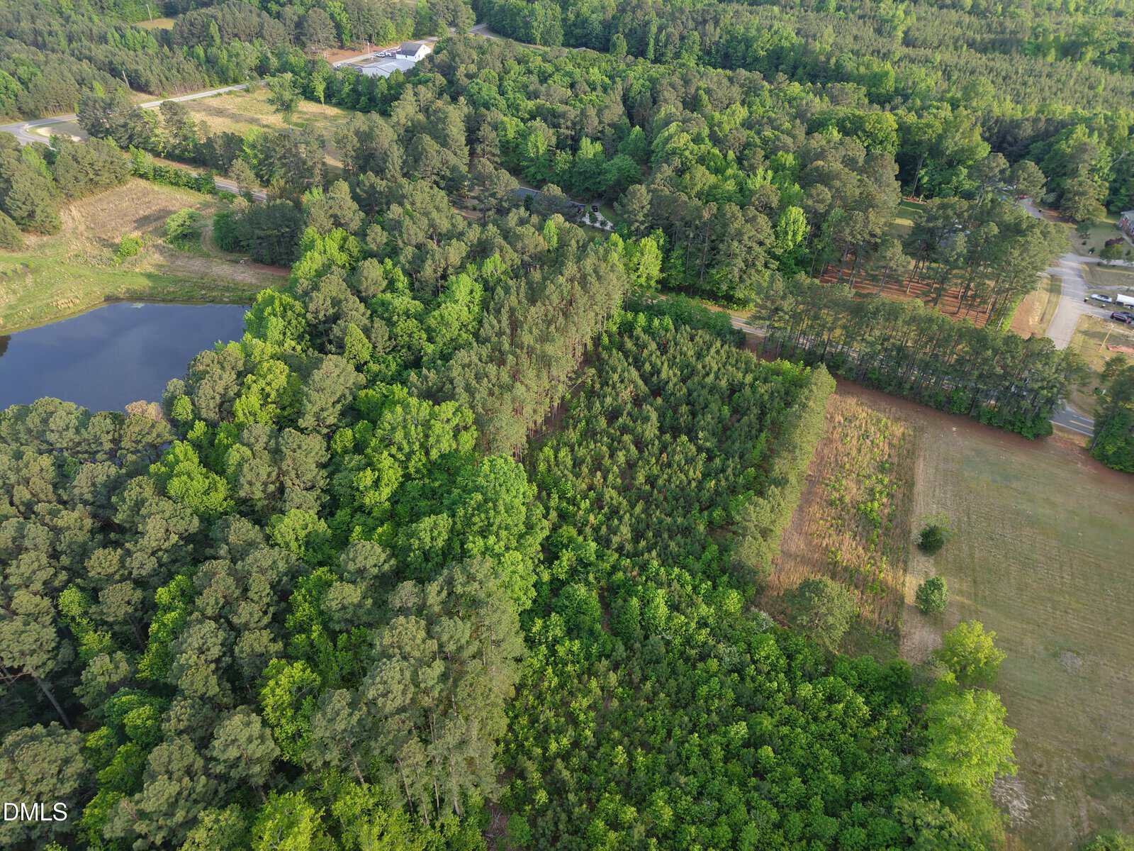 Aerial view of a forested area with dense green trees, a small pond to the left, and open clearings and roads on the right, surrounded by rural landscape.