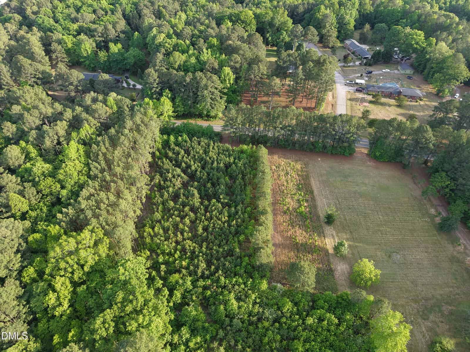 Aerial view of a rural area with dense trees on the left, a cleared grassy field on the right, and scattered houses surrounded by more trees in the background.