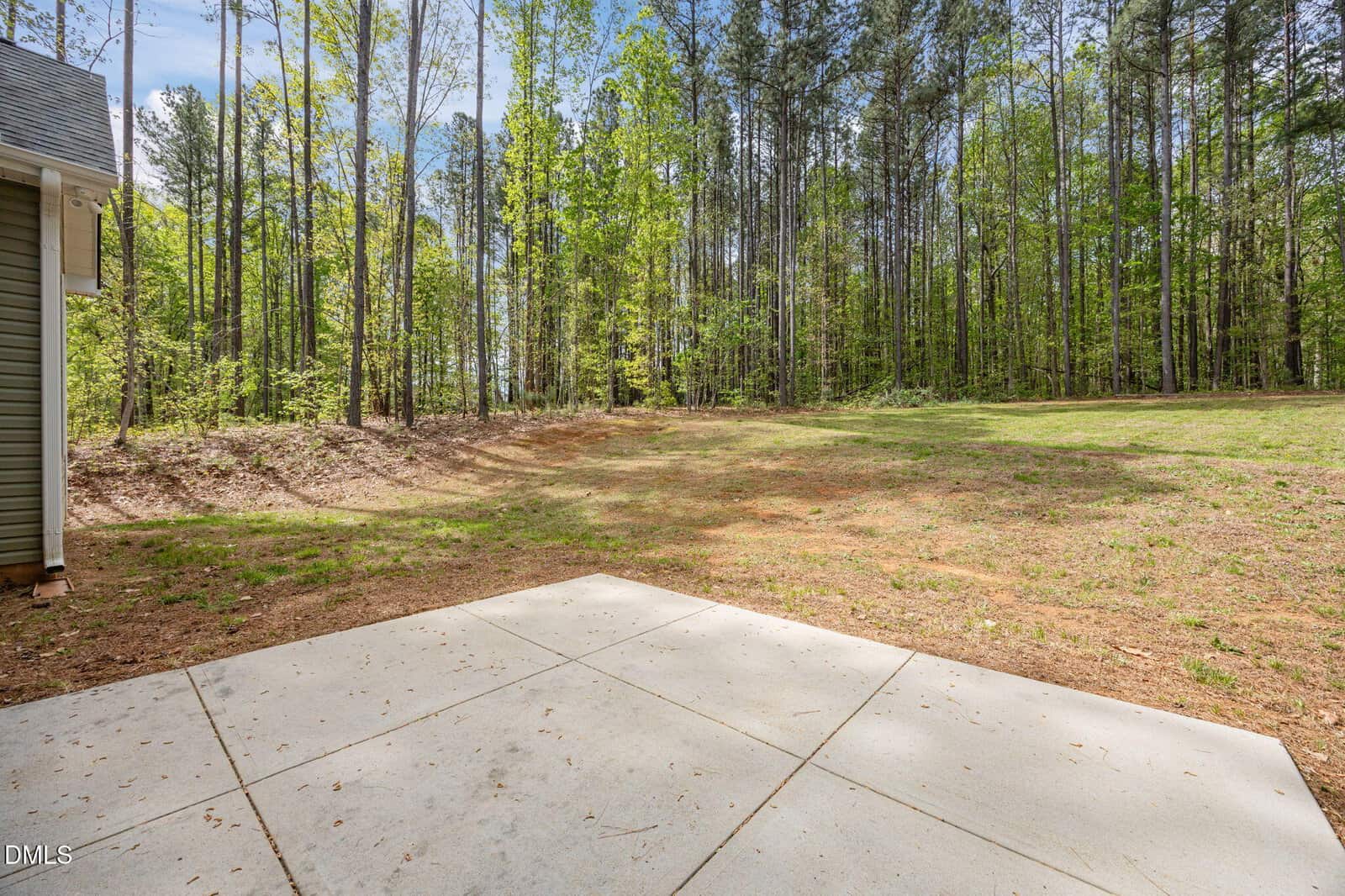 A concrete patio overlooks a backyard with sparse grass and a dense forest of tall trees in the background under a blue sky.