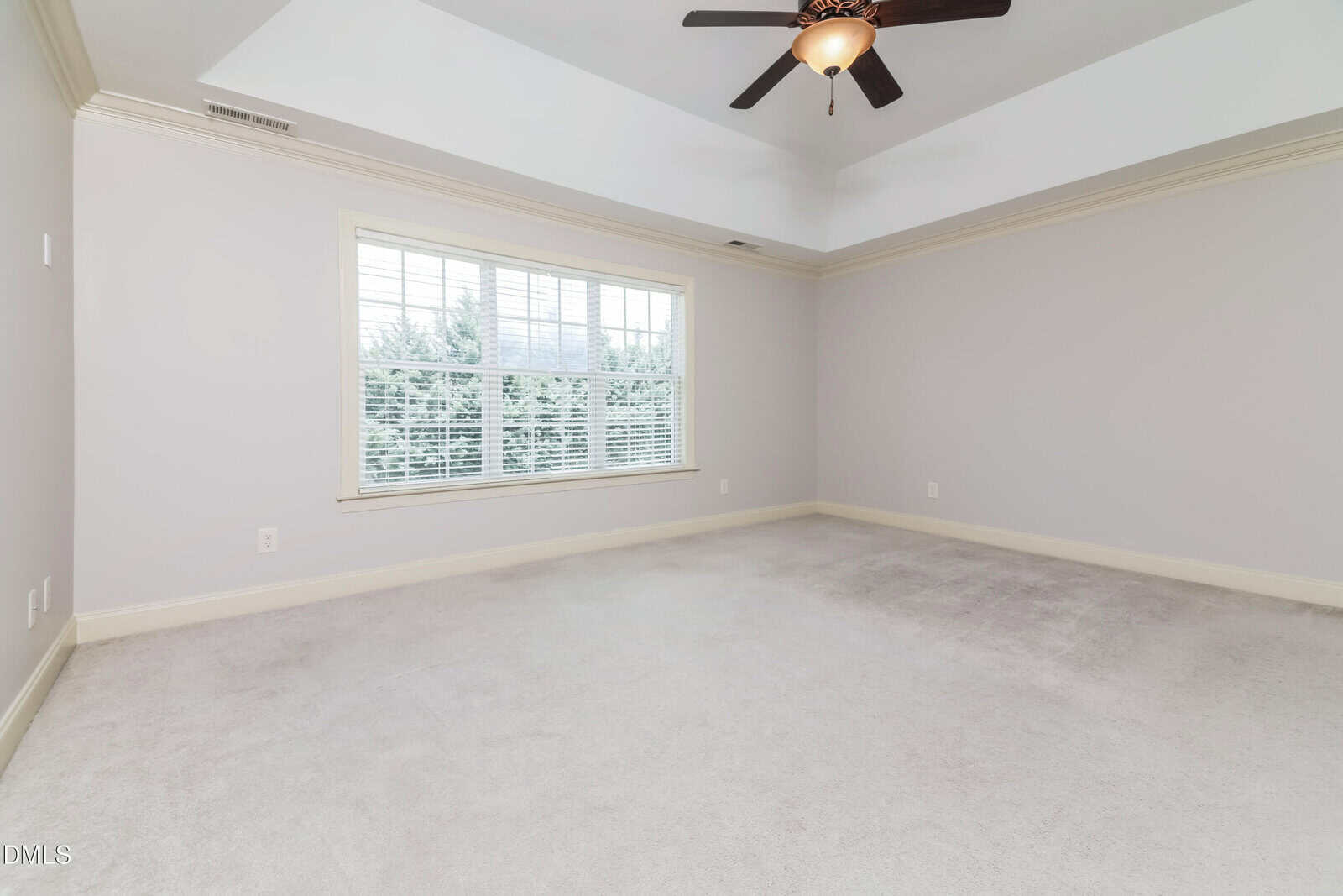 Empty room with light gray carpet, light gray walls, a large window with blinds, white trim, and a ceiling fan with a light fixture on a tray ceiling.