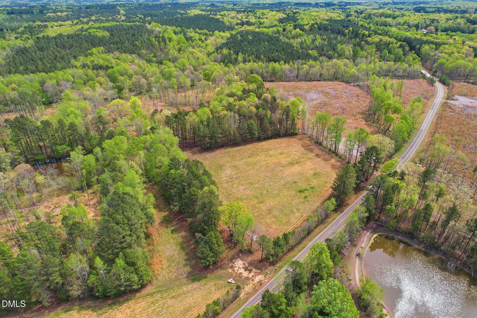 Aerial view of a rural landscape with a winding road, open grassy fields, clusters of trees, and a pond in the bottom right corner; the scene is surrounded by dense green forest.