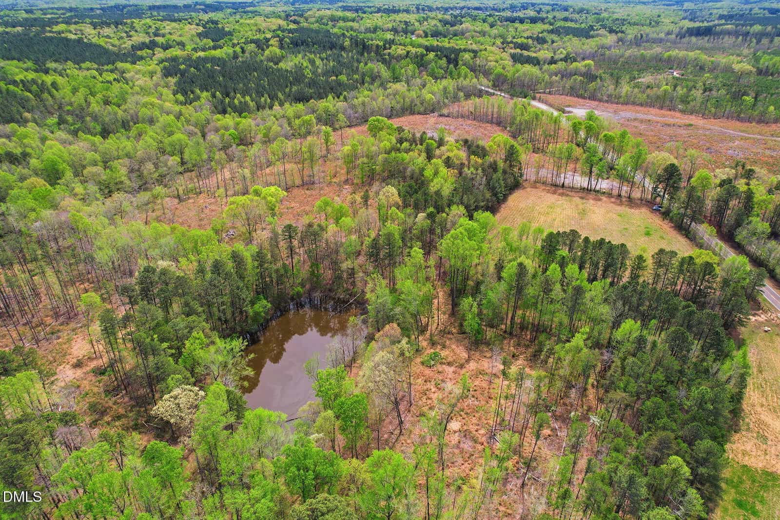 Aerial view of a forested landscape with a small pond at the center. Trees with green foliage surround open grassy areas and patches of brown vegetation. A curved road runs through the top right portion of the image.