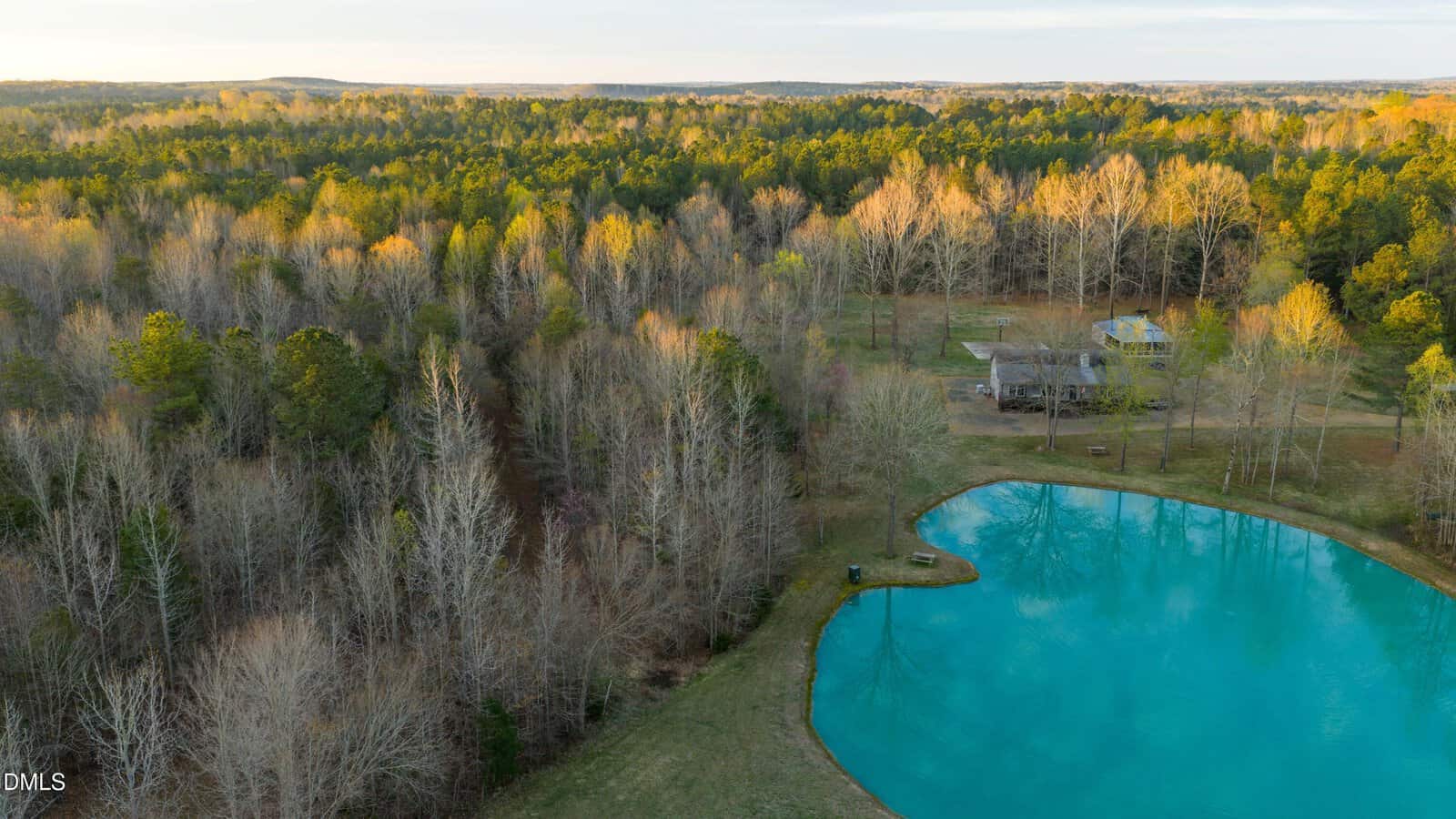 Aerial view of a small house near a pond surrounded by leafless and green trees, with a dense forest in the background under a clear sky.