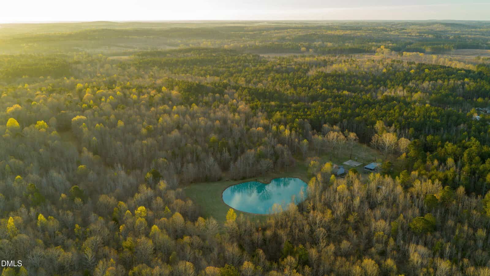 Aerial view of a forested area near 8730 Grassy Creek Road, with a small, round pond near the center, surrounded by trees and a few buildings. Sunlight casts a golden glow over the landscape in this picturesque Bullock setting.