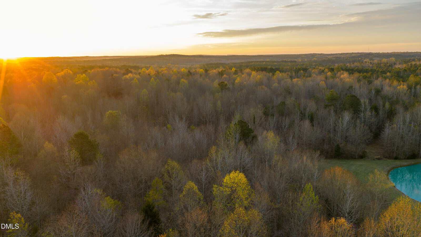 A dense forest with mostly leafless trees is shown at sunset. The sun is low on the horizon, casting warm light over the landscape. A small pond is partially visible in the lower right corner.