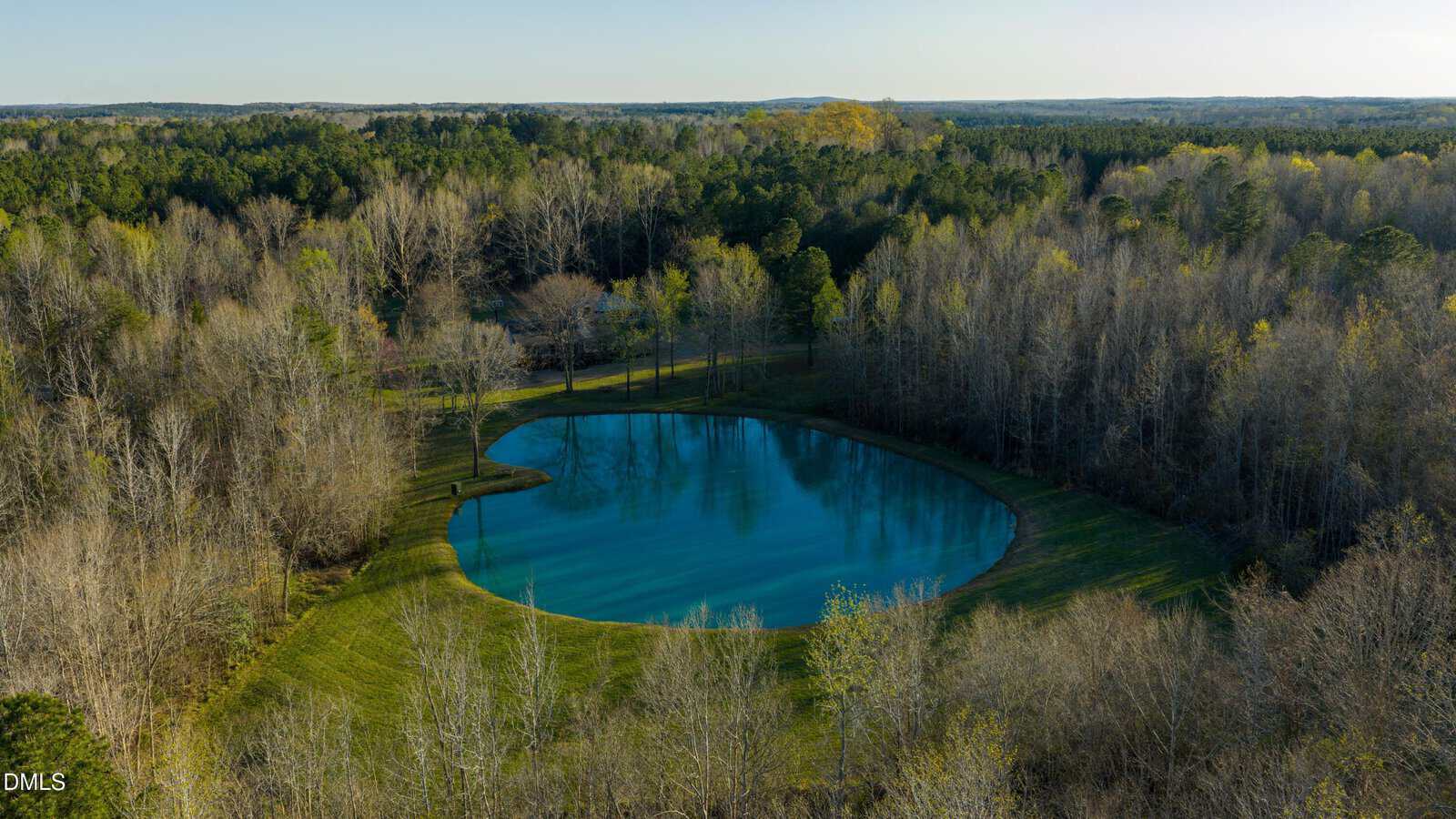 Aerial view of a small, oval pond surrounded by grassy banks and dense trees, with a forest stretching into the distance under a clear sky.