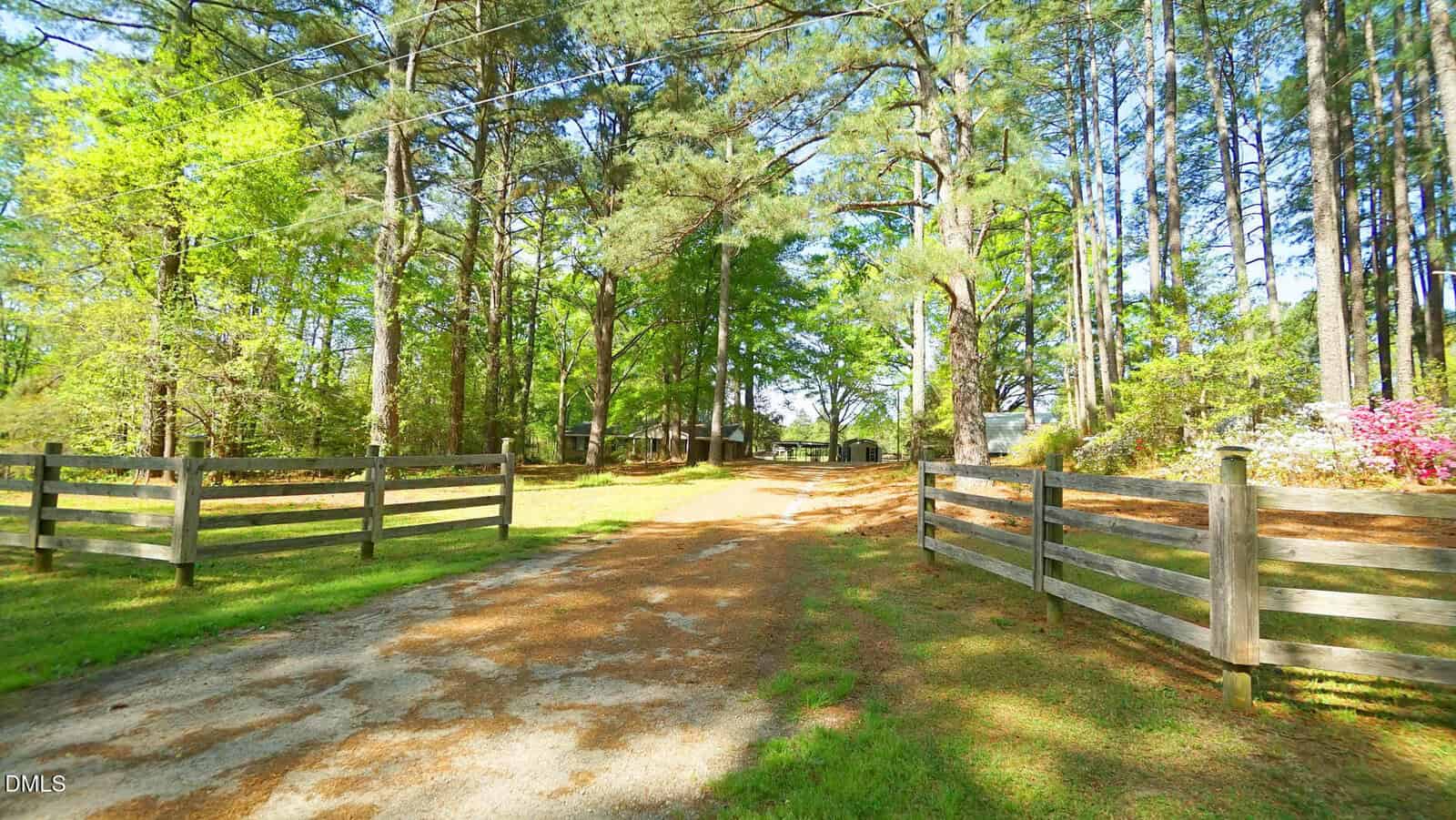 A dirt driveway leads through a wooden fence into a wooded area with tall pine trees and green grass, and a house is visible in the background. Bright sunlight highlights the scene.
