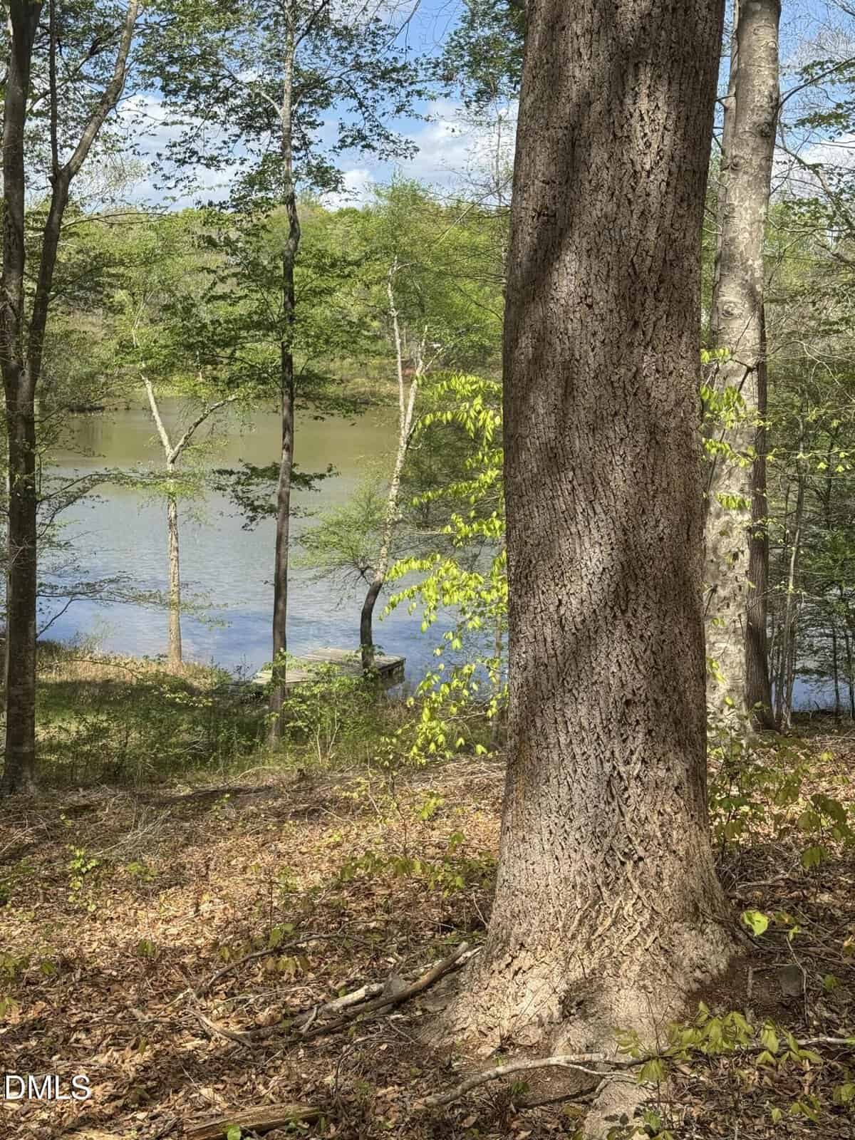 A large tree trunk in the foreground stands in a wooded area near a calm lake. Green leaves and branches surround the scene, with a dock visible by the water. The sky is partly cloudy.