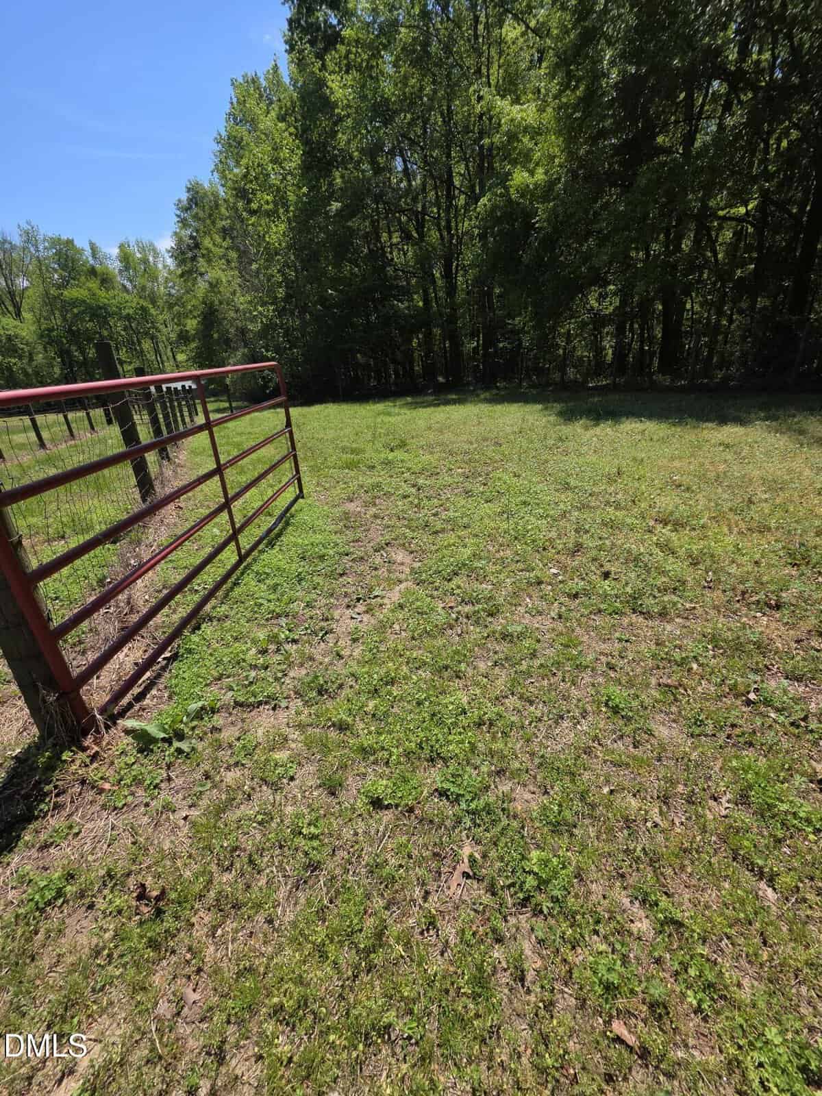 A red metal gate stands open in a grassy, sunlit field bordered by a dense forest of green trees under a clear blue sky.