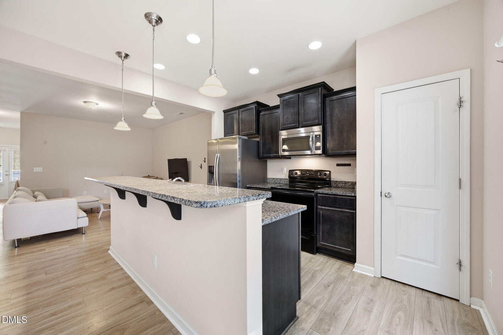 Modern kitchen with dark cabinets, stainless steel appliances, granite countertops, and a breakfast bar. Light wood flooring extends into an open living area with a white sofa. Neutral walls, pendant, and recessed lighting throughout.