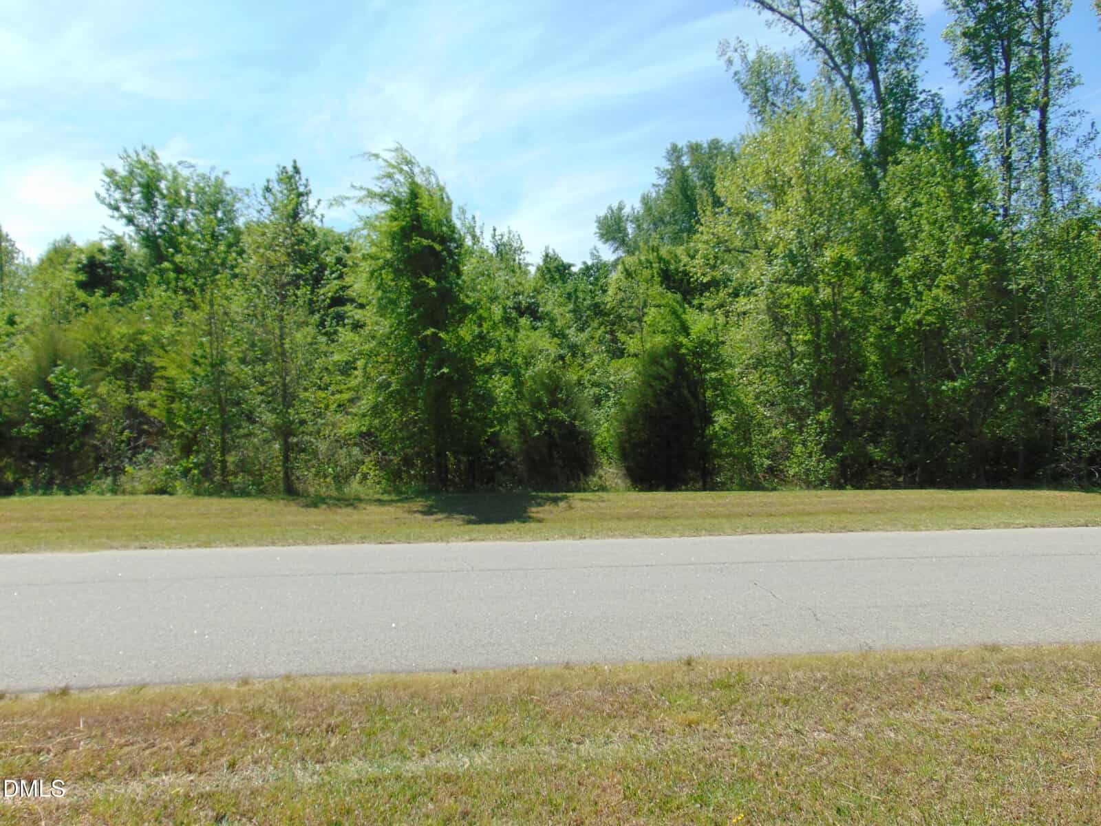 A paved road runs in front of a grassy area and dense green trees under a blue sky with light clouds, just outside 74 Waterstone Lane in Henderson.