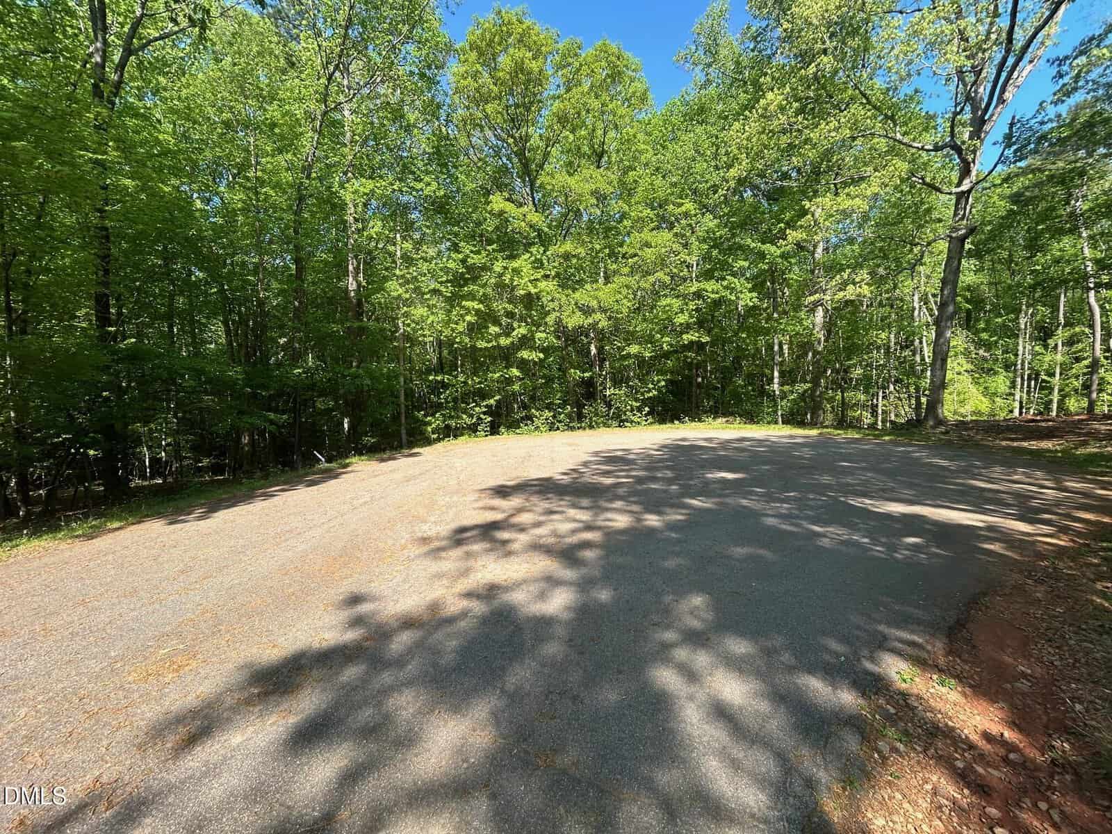 Paved roadway with a wide curve surrounded by dense green trees under a clear blue sky. Shadows of tree branches fall across the road, and sunlight highlights parts of the asphalt and nearby foliage.