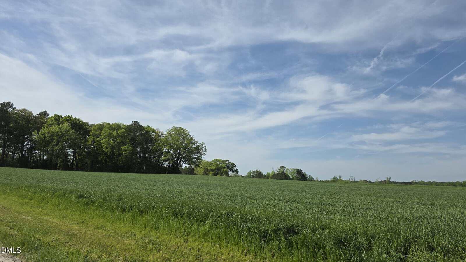 A wide, green field with tall grass under a blue sky filled with scattered white clouds. A row of trees lines the left edge of the landscape, and sunlight brightens the scene.