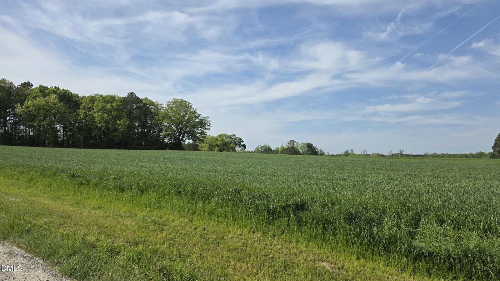 A wide, open green field bordered by trees under a partly cloudy blue sky. A dirt path runs along the left edge of the field. The landscape appears calm and rural.