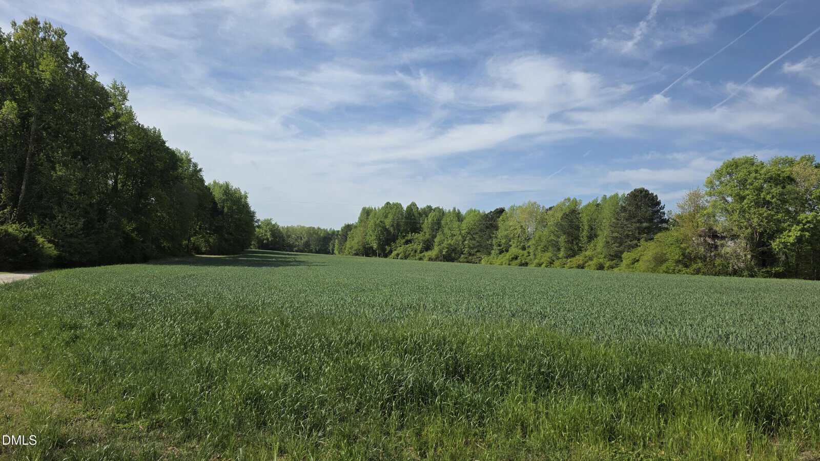 Open grassy field bordered by dense green trees under a blue sky with wispy clouds. A dirt path runs along the left side, and bright sunlight illuminates the scene.