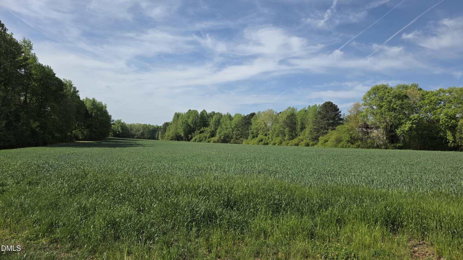A green field bordered by dense trees under a partly cloudy blue sky with contrails visible. The scene is calm and natural, suggesting a rural or countryside area.