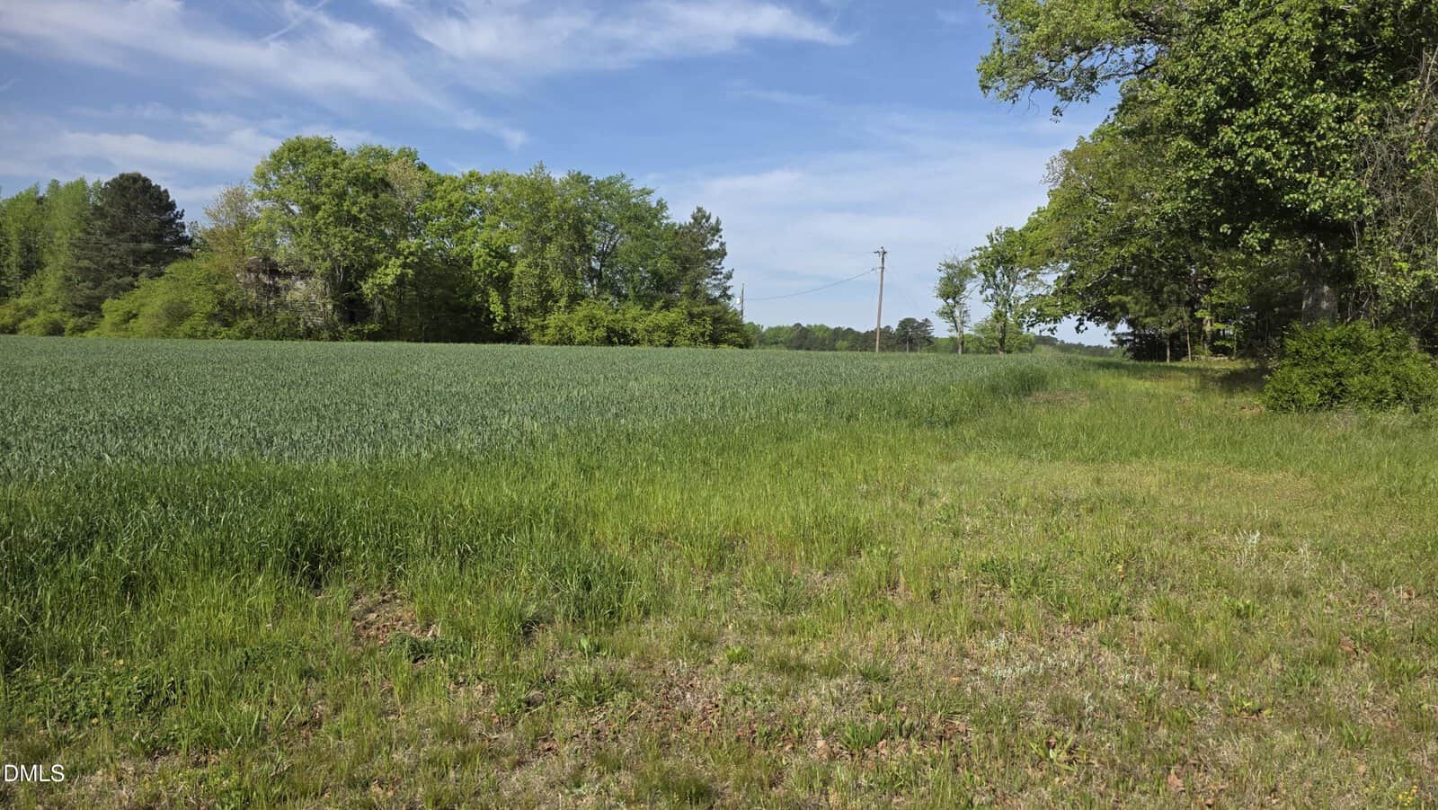 A grassy field bordered by dense green trees under a blue sky with thin clouds; power lines run in the distance along the right side.