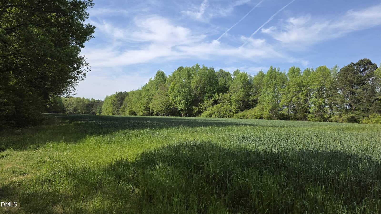 A grassy field bordered by tall, green trees under a blue sky with wispy clouds and two visible jet contrails. Shadows from nearby trees fall across the grass.