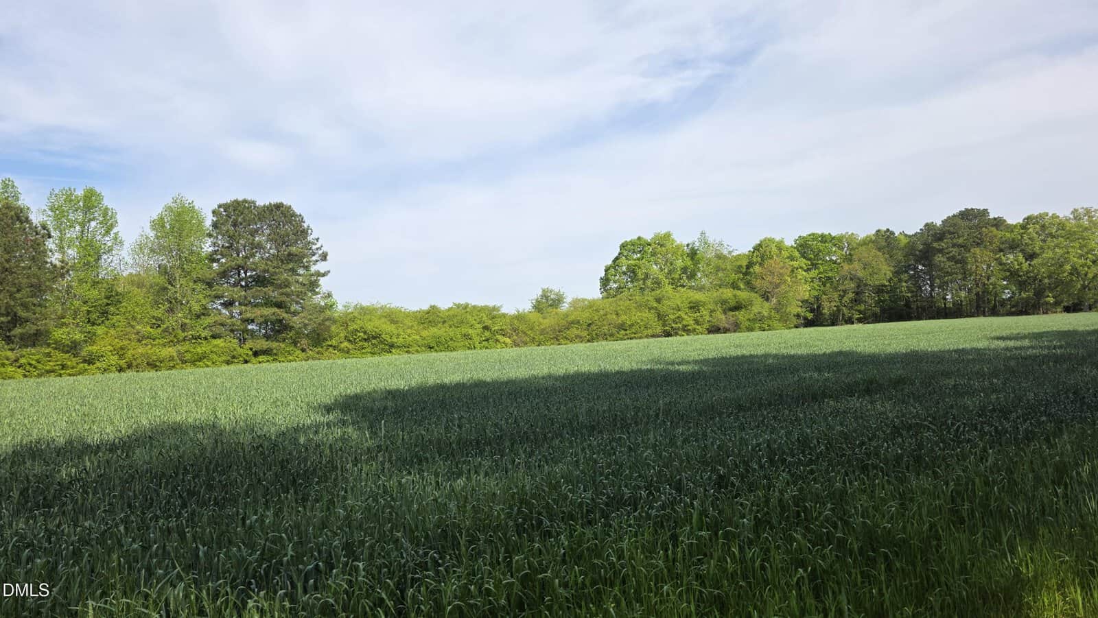 A green field of tall grass with shadowed areas in the foreground at 294 Hight Road, Louisburg, bordered by trees with lush green foliage under a partly cloudy sky.