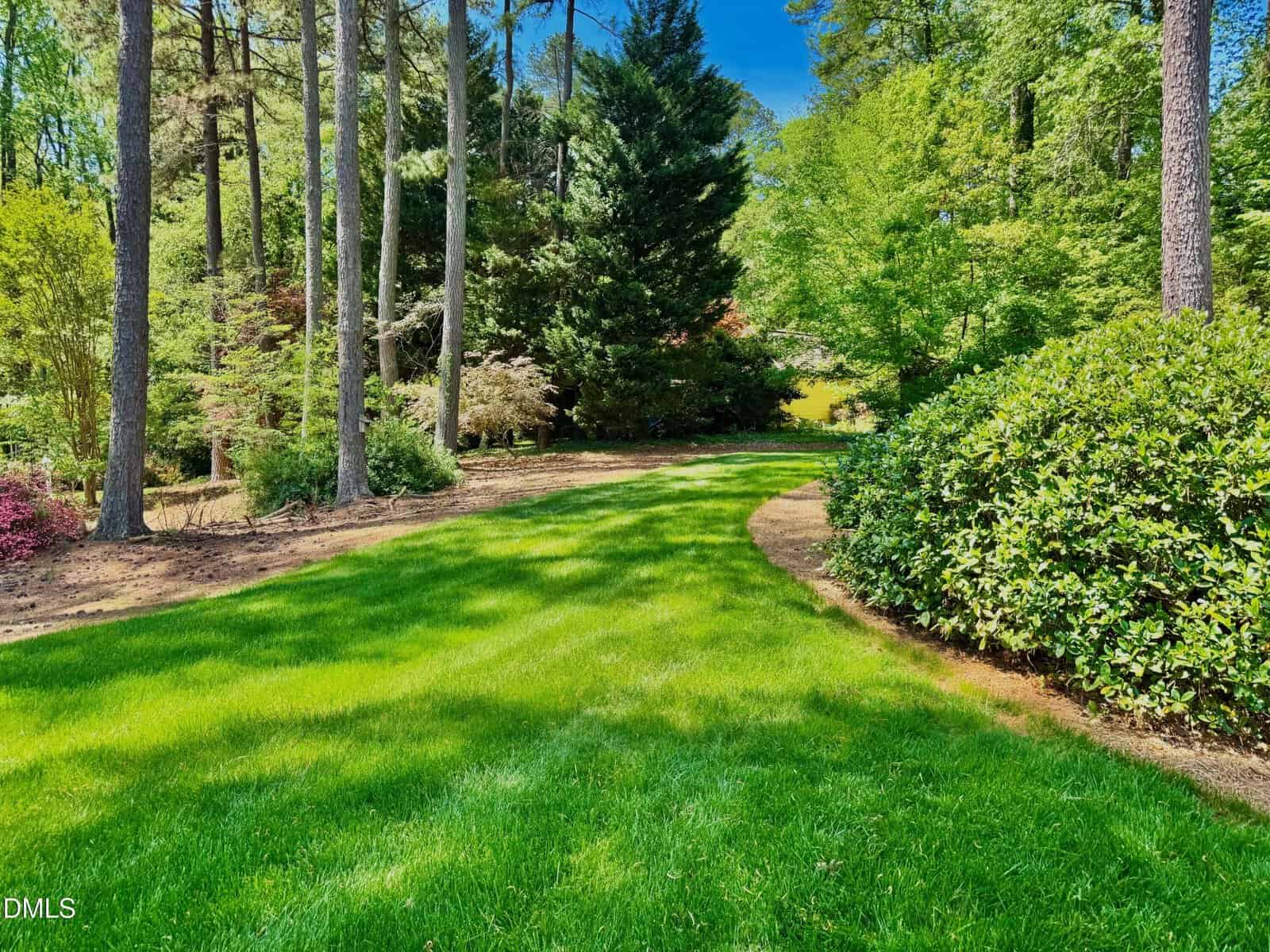 A lush green lawn bordered by tall trees and shrubs under a bright blue sky; sunlight casts shadows across the grass in a peaceful, landscaped garden.