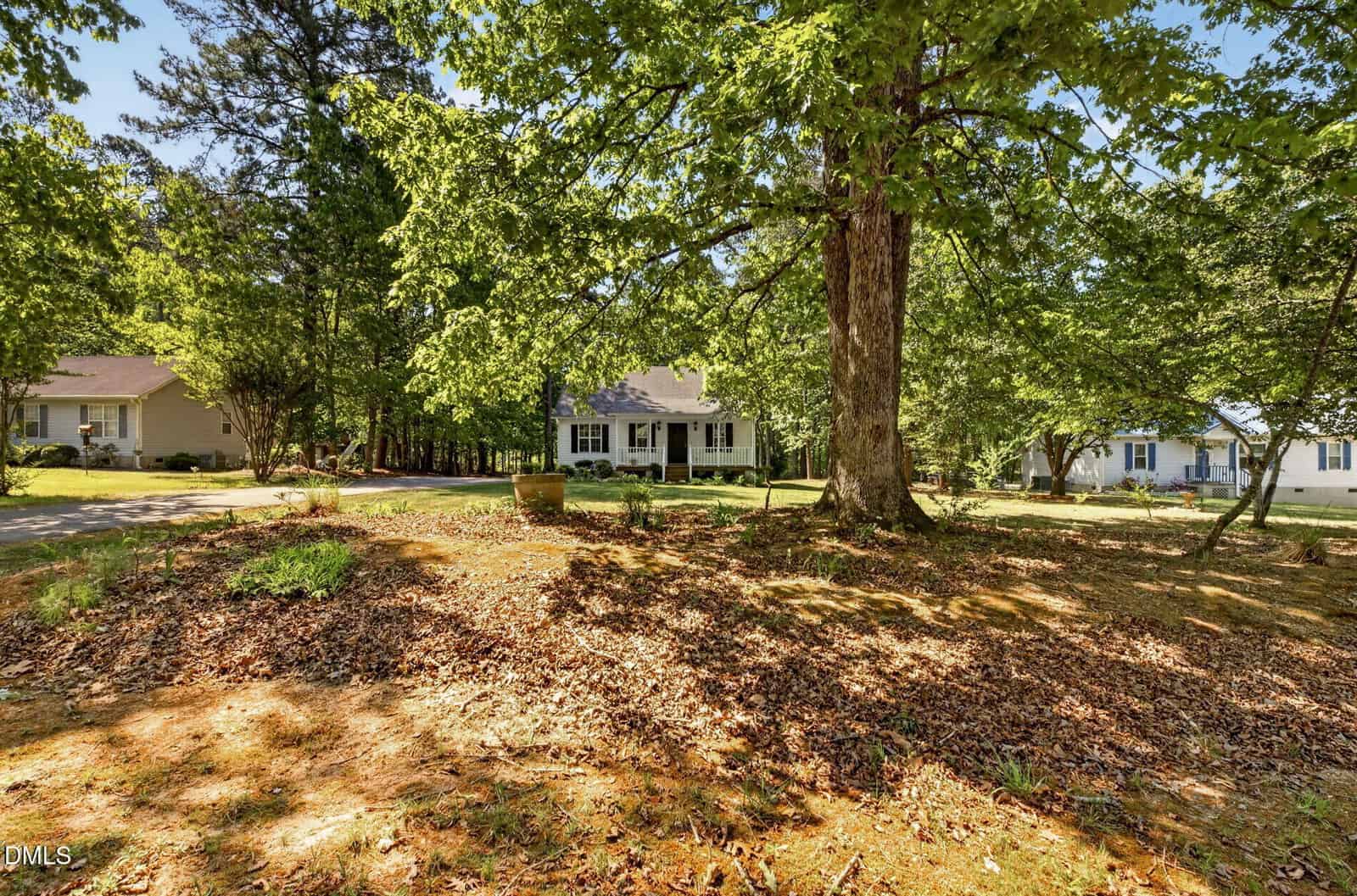 A large tree with dense green foliage shades the front yard of a suburban home. Neighboring houses are visible in the background, and sunlight filters through the branches onto the ground covered with dry leaves and sparse grass.
