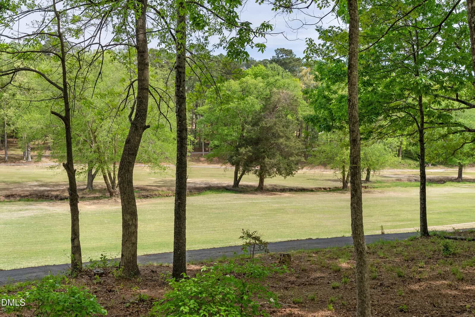 View of a grassy open area bordered by a paved path and several tall trees with green leaves; a wooded area is visible in the background under a partly cloudy sky.
