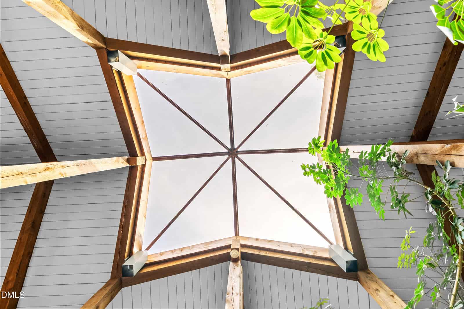 View looking up at a wooden hexagonal skylight ceiling with glass panels, intersecting beams, and green leafy plants partially extending into the frame from the right side.