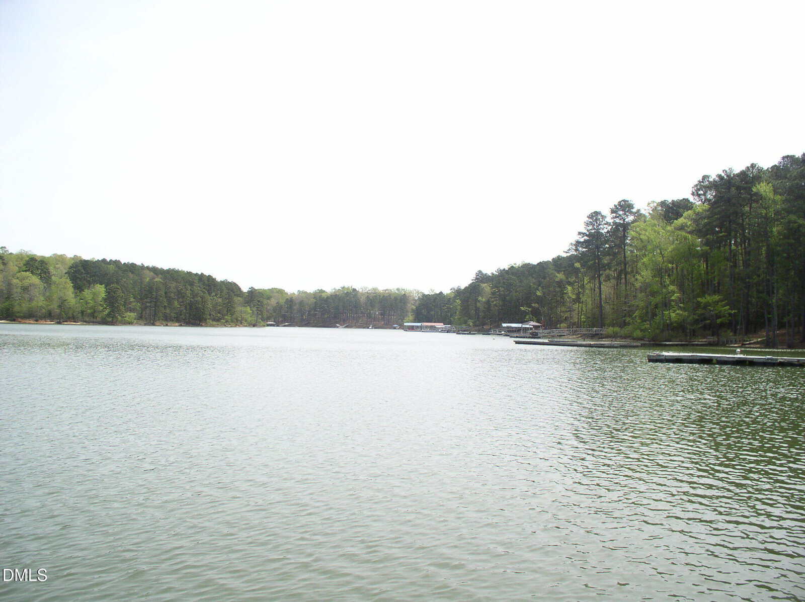 A calm lake bordered by dense green trees under a clear, bright sky. A few wooden docks extend from the forested shoreline into the water.