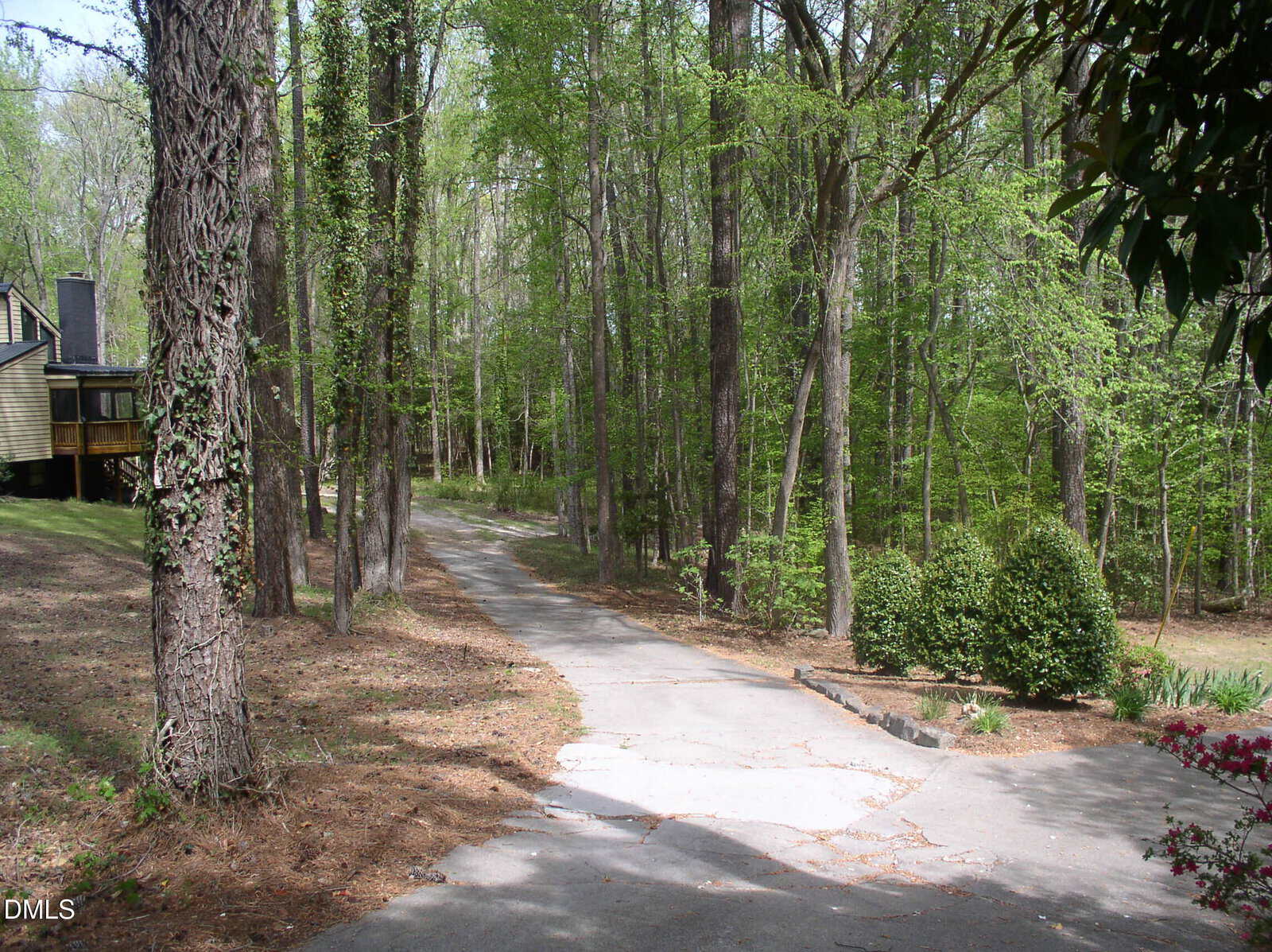 A narrow concrete driveway curves through a wooded area with tall trees and green foliage, leading toward a house partially visible on the left among the trees. Shrubs and flowers border the driveway.
