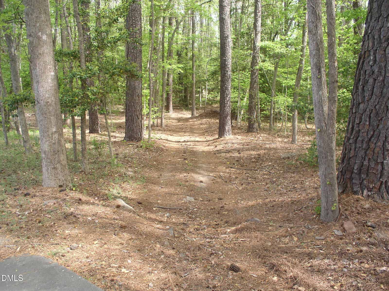 A dirt path winds through a forest with tall trees and green foliage. Sunlight filters through the leaves, casting dappled shadows on the ground covered with pine needles.