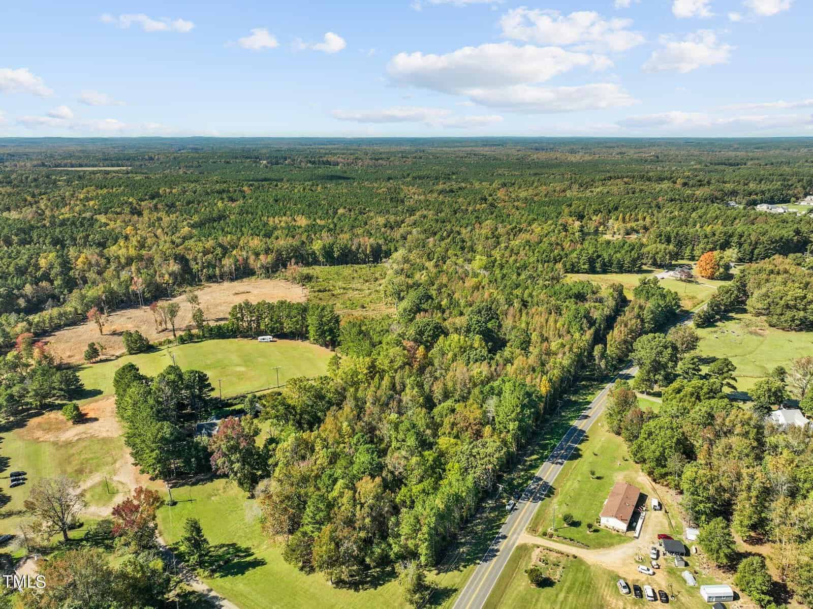 Aerial view of a rural landscape with dense green forests, open grassy fields, a few houses, and a road running through the scene under a blue sky with scattered clouds.