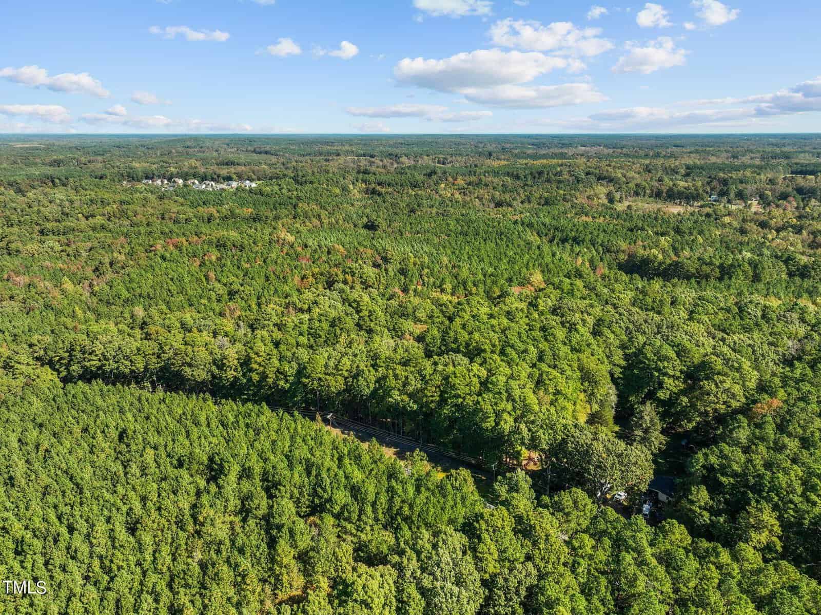 Aerial view of a lush, dense forest under a blue sky with scattered clouds. A small road winds through the trees, and a few buildings are barely visible in the distance.