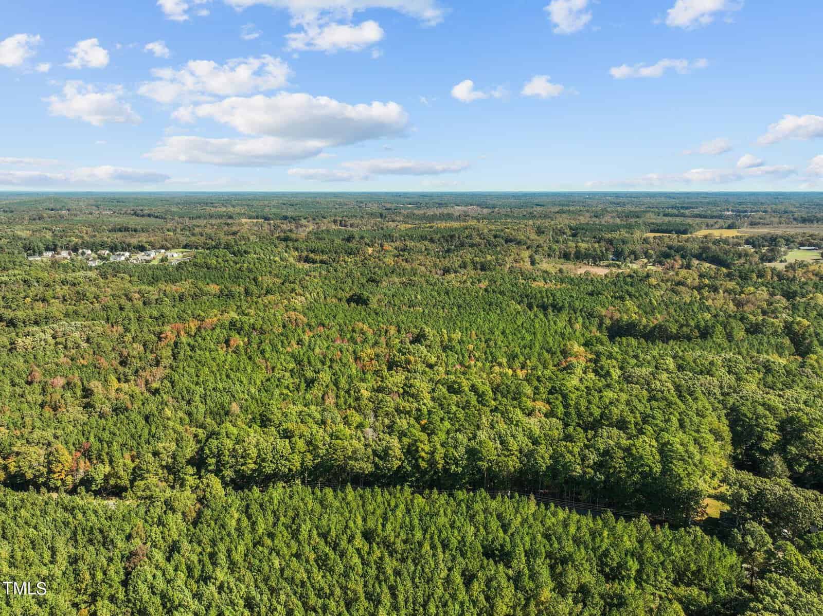 Aerial view of a vast, dense forest with green trees stretching to the horizon under a blue sky with scattered clouds. A small cluster of houses is visible on the left edge in the distance.