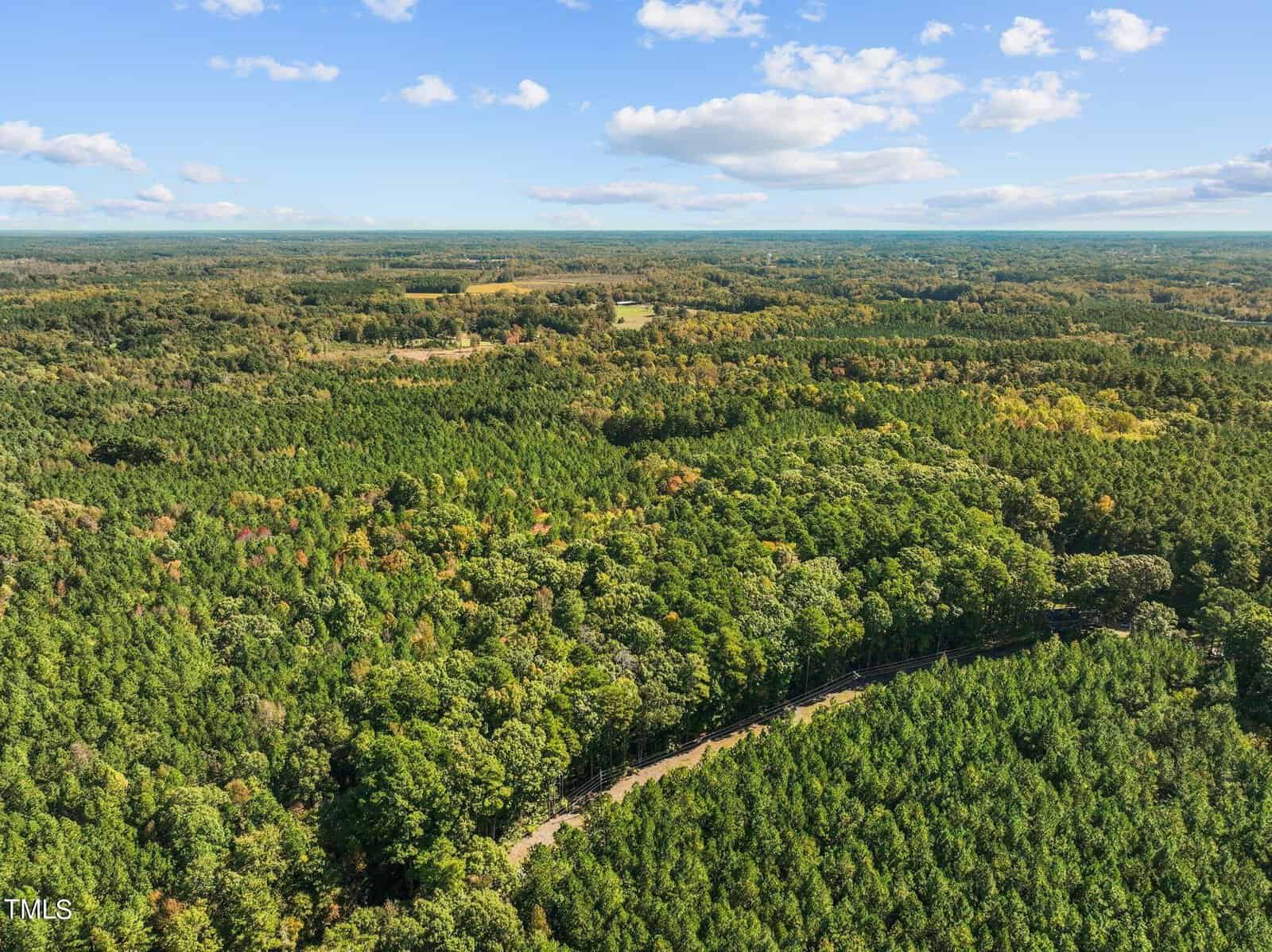 Aerial view of a dense, green forest with a road curving through the trees, under a blue sky with scattered clouds. Farmland and patches of open land are visible in the distance.