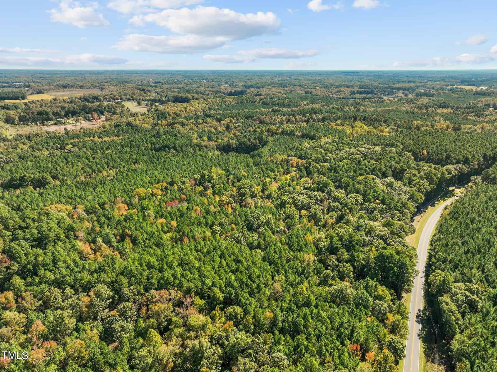 Aerial view of a vast, dense forest with a winding road cutting through the trees under a blue sky with scattered clouds.