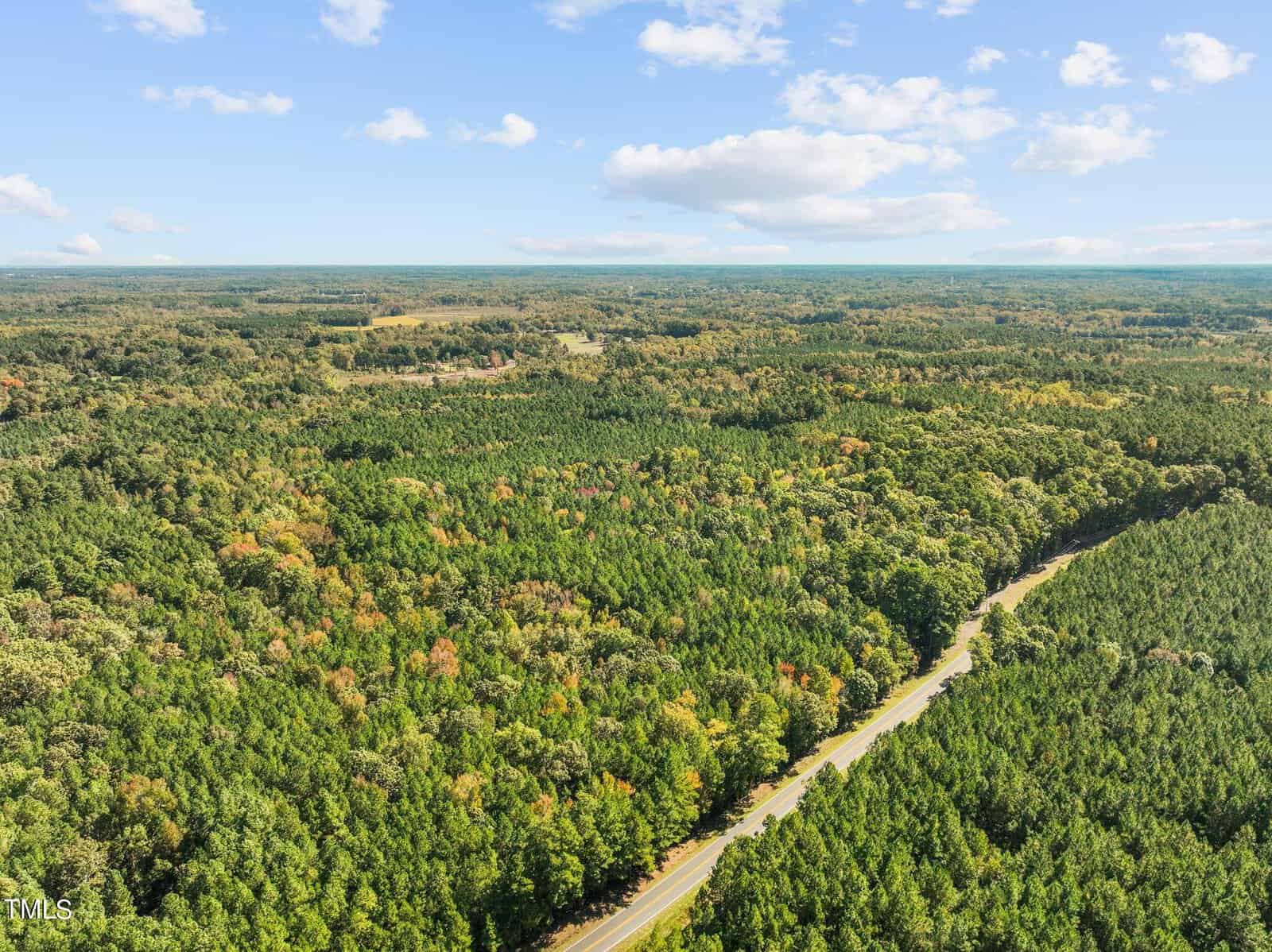 Aerial view of a winding road cutting through a dense green forest under a partly cloudy blue sky, with distant trees and horizon visible.