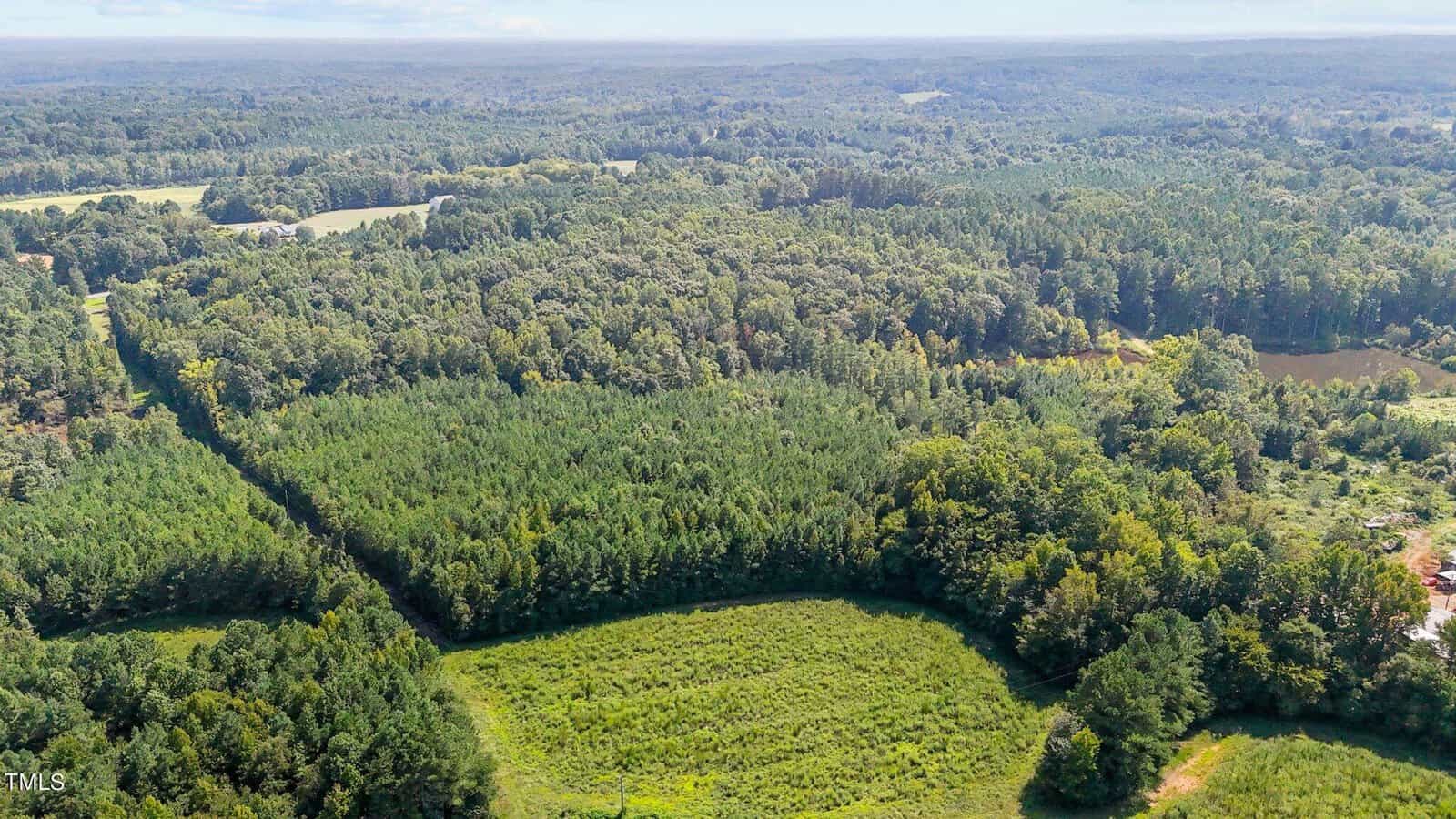 Aerial view of a lush, green forest landscape with dense trees, open grassy clearings, and rolling hills under a partly cloudy sky. Some roads and fields are visible in the distance.