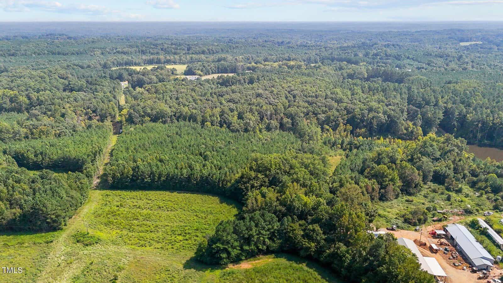 Aerial view of a rural landscape featuring dense green forests, open grassy fields, a dirt road, and several buildings on the right side under a partly cloudy sky.