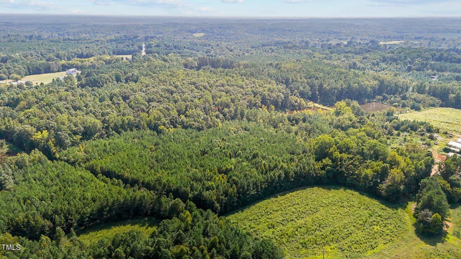 Aerial view of a vast, green forest landscape with dense trees and some open grassy areas, stretching into the distance under a partly cloudy sky.