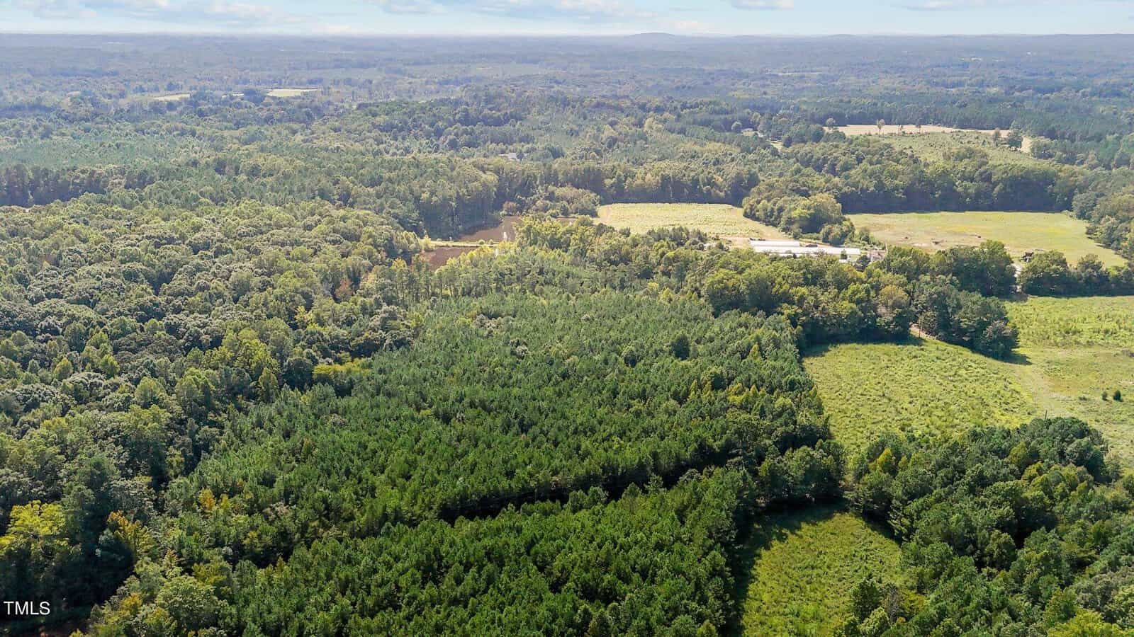 Aerial view of a rural landscape with dense green forests, open fields, and a few scattered buildings under a partly cloudy sky.