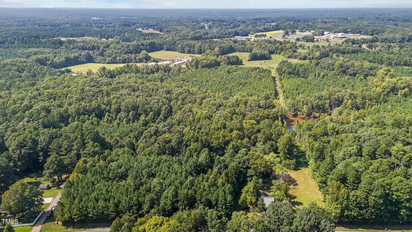 Aerial view of a lush, green forest with scattered houses and clearings, a winding road, and distant buildings under a blue sky.