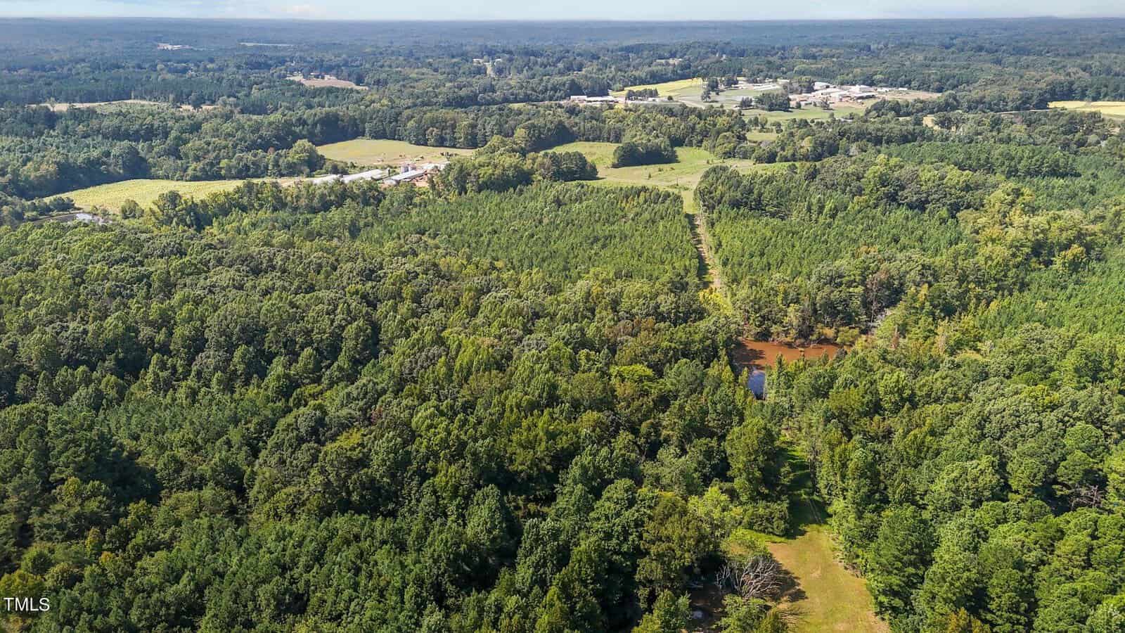 Aerial view of a lush, green forest with a dirt path running through it, a small pond in the center, and distant fields and buildings under a blue sky.