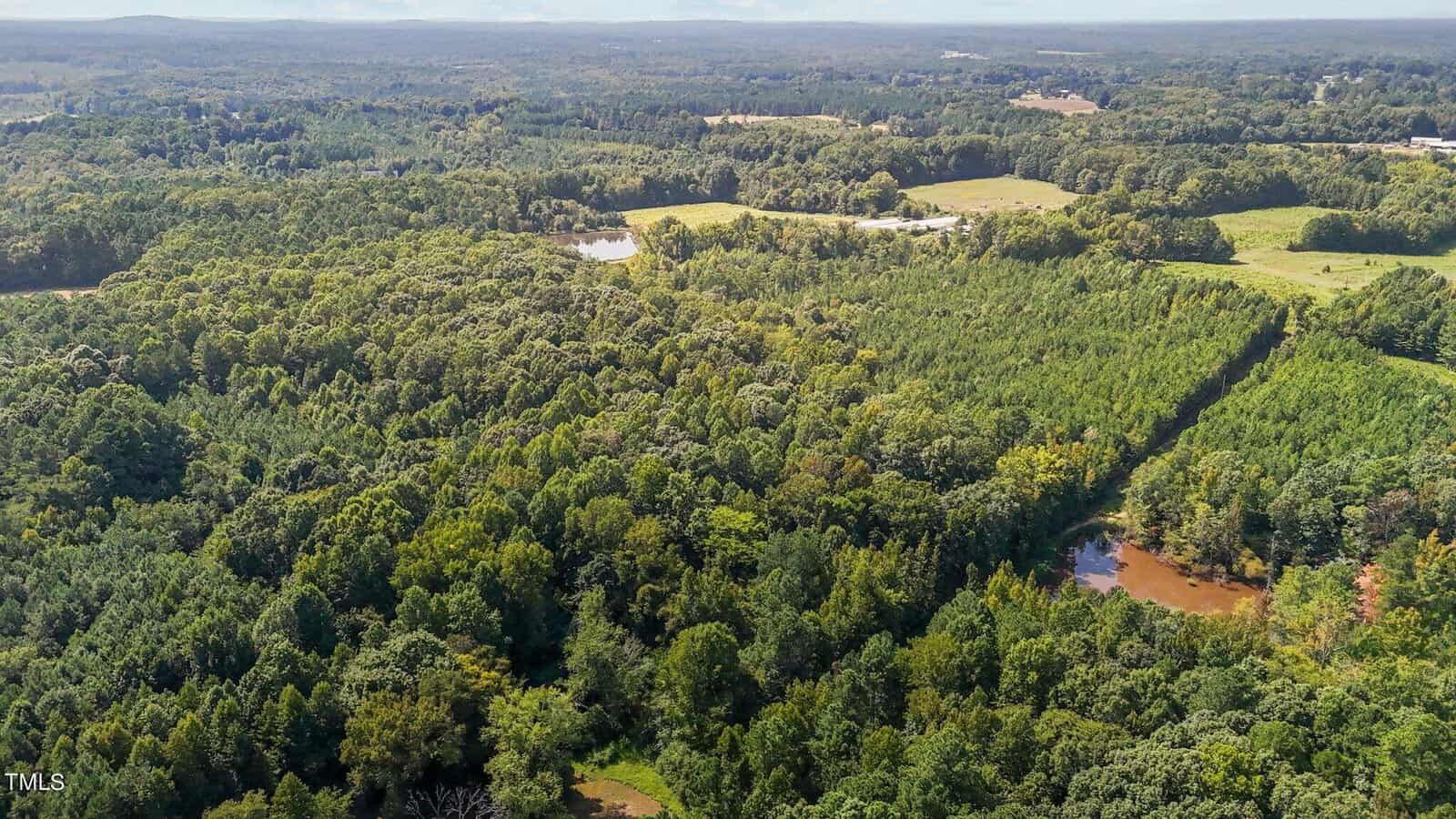 Aerial view of a vast, green forest with dense trees, a few clearings, winding roads, and small brown ponds under a partly cloudy sky.