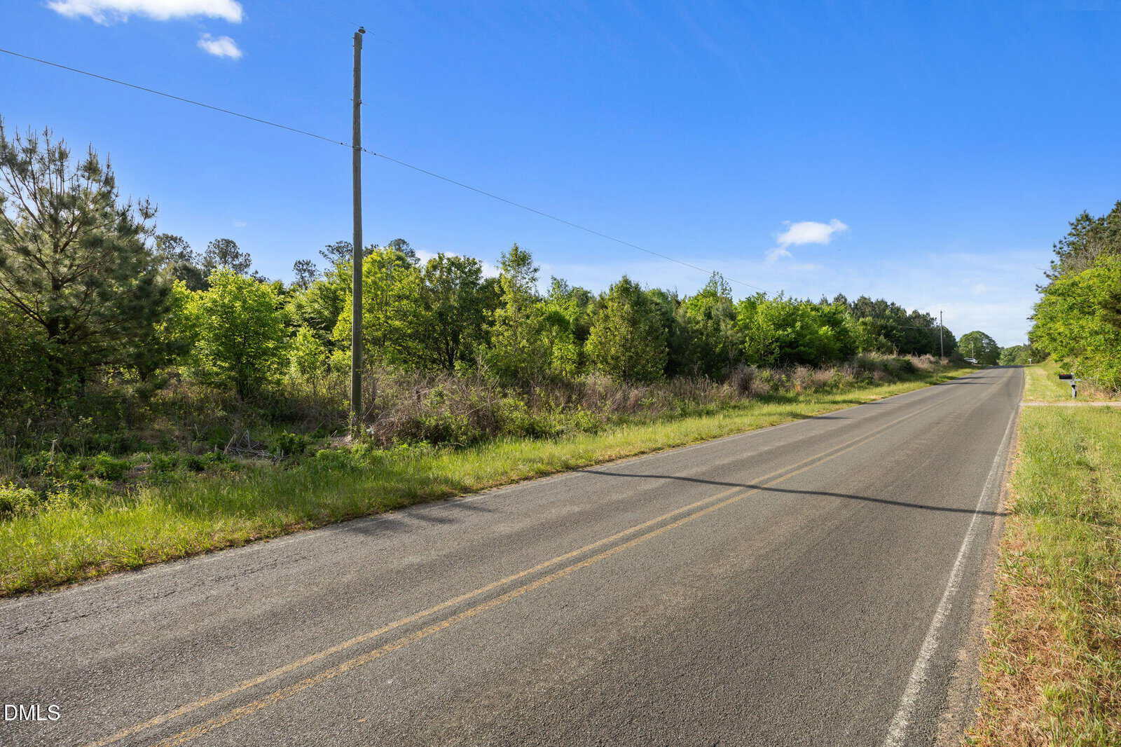 A paved rural road runs alongside green trees and bushes under a clear blue sky, with a power pole and line visible on the left side.
