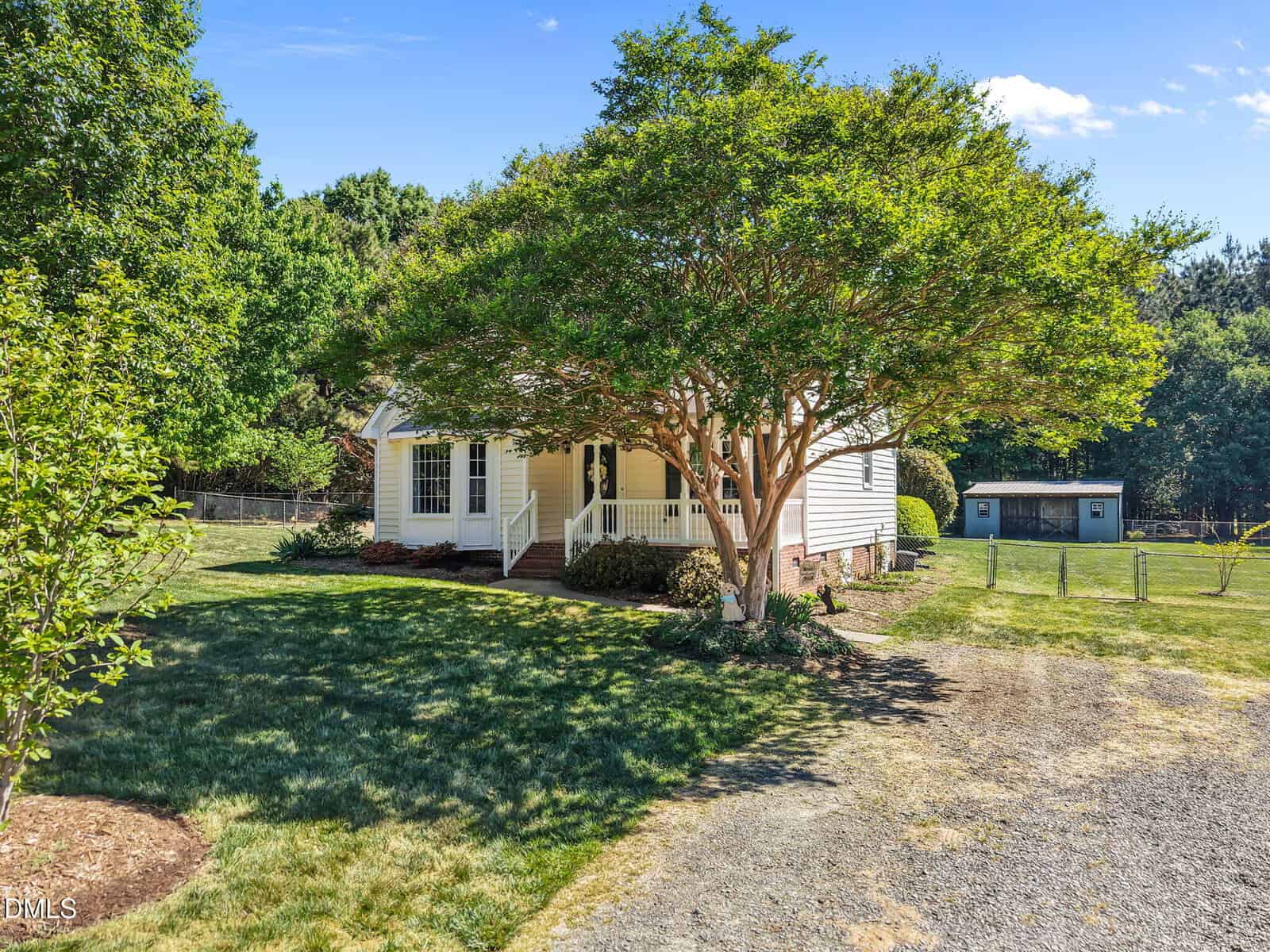A small white house with a front porch sits under a large leafy tree, surrounded by green grass and trees. There is a gravel driveway leading up to the house and a shed in the background.