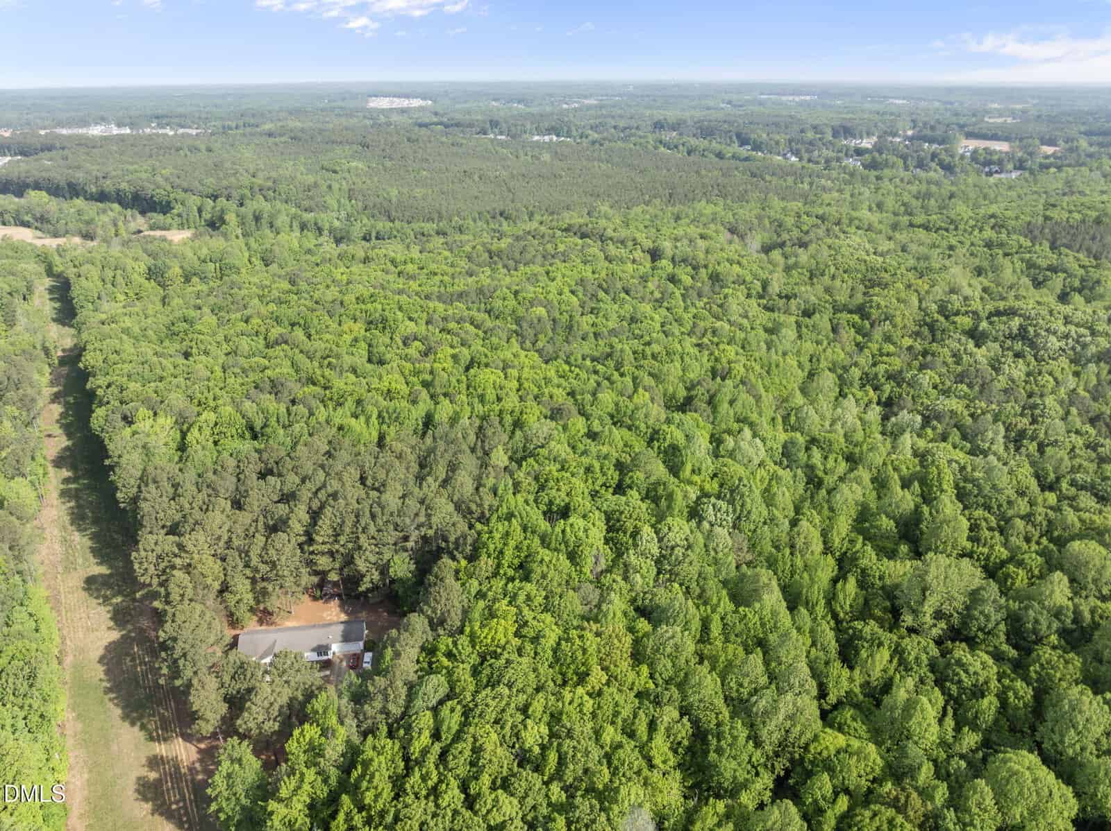 Aerial view of a dense green forest with a small clearing revealing a single house near the bottom left corner; expansive trees stretch toward the horizon under a blue sky.