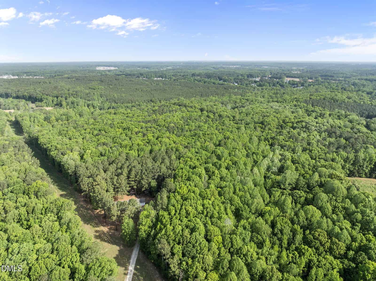 Aerial view of a dense, green forest with a narrow dirt road cutting through the trees, under a clear blue sky with scattered clouds.