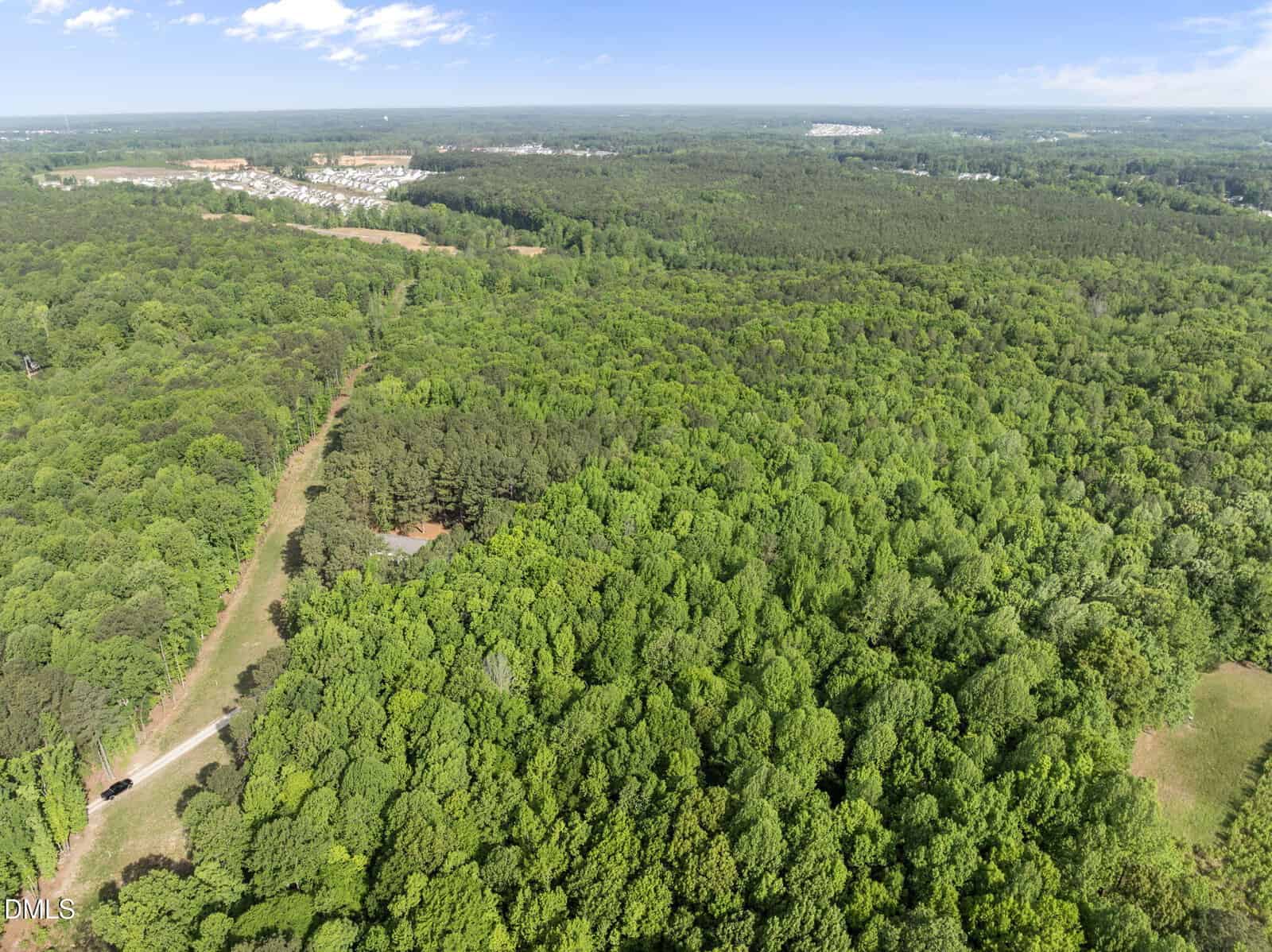 Aerial view of a dense, green forest with a dirt road leading to a clearing; houses and buildings are visible in the distance under a blue sky with scattered clouds.