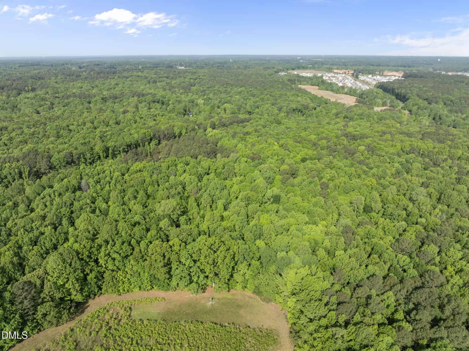Aerial view of a dense, green forest with a small clearing in the foreground and a distant residential area at the top right under a blue sky with scattered clouds.